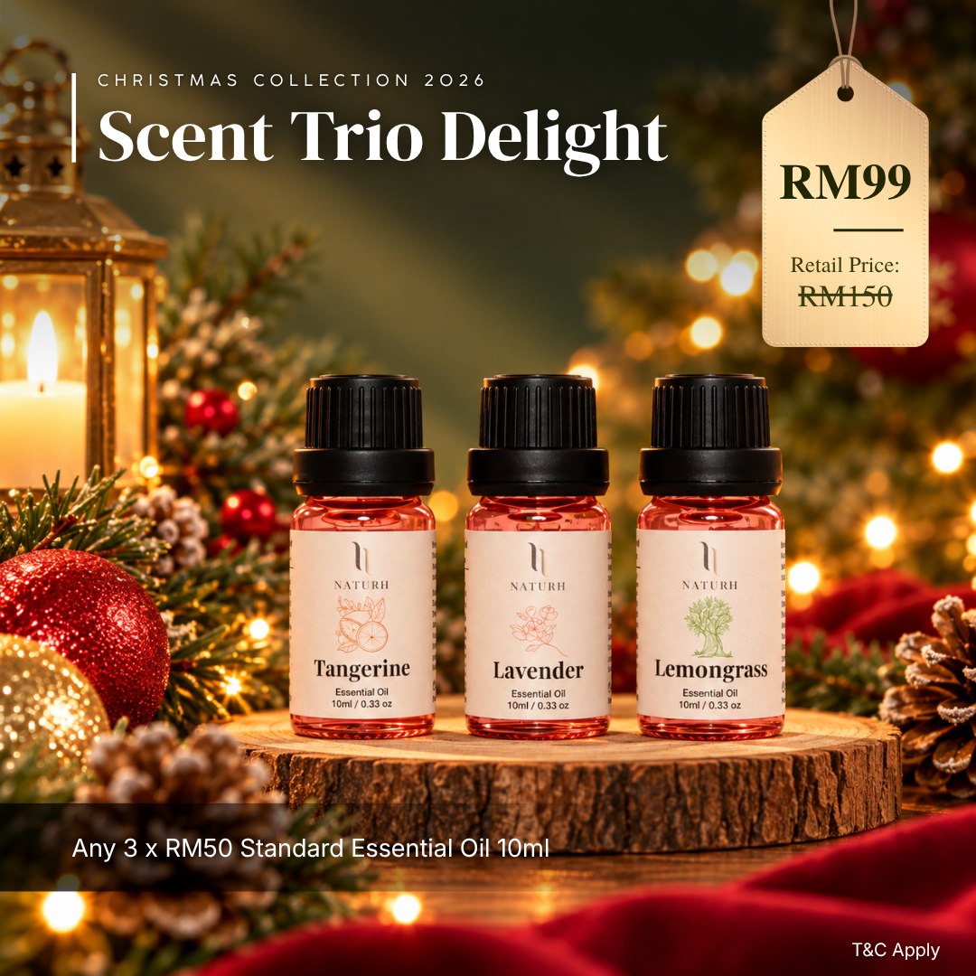 🎄Scent Trio Delight🎄