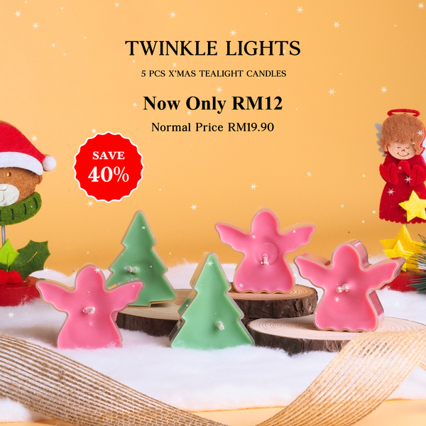 🎄Twinkle Lights🎄