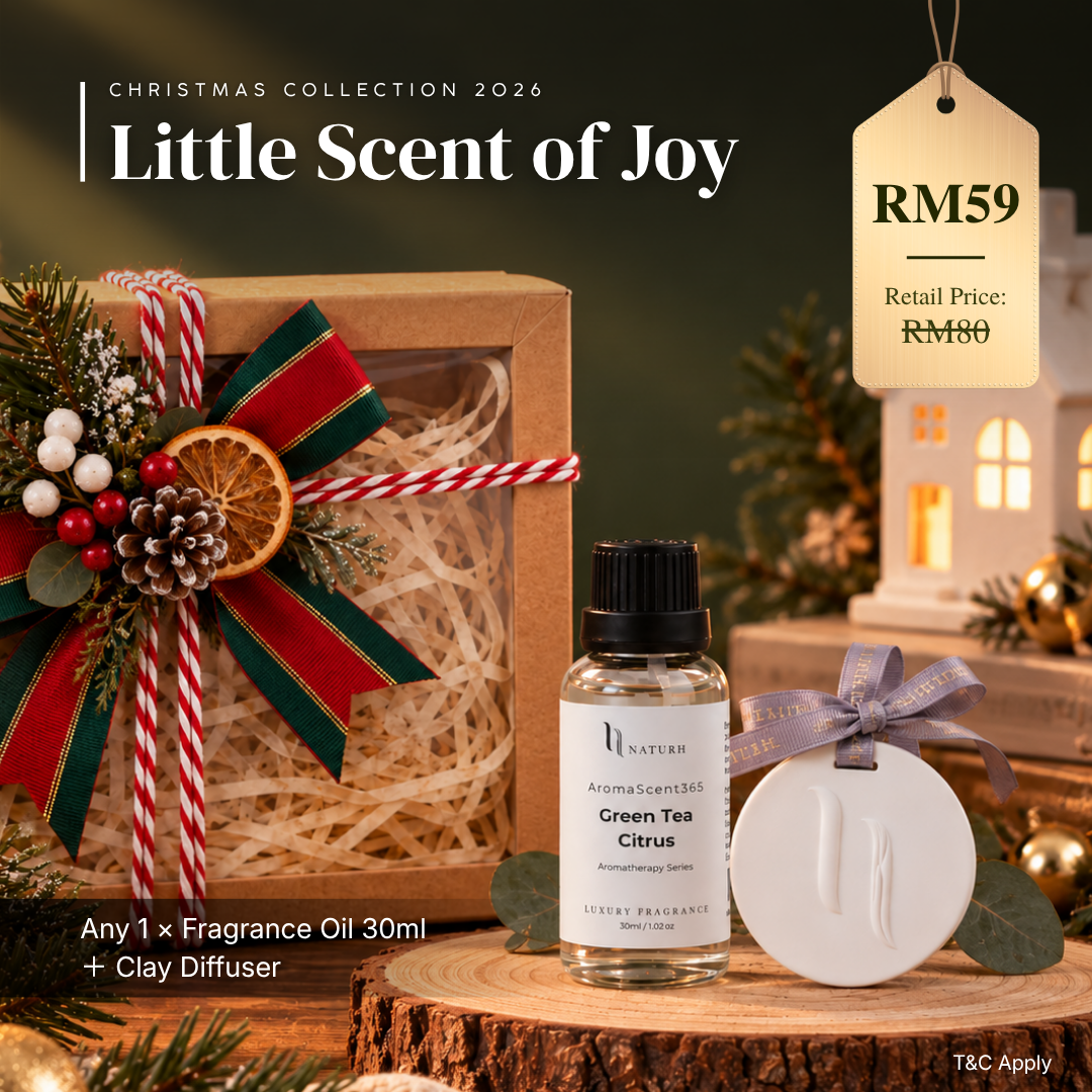 🎄Little Scent of Joy🎄