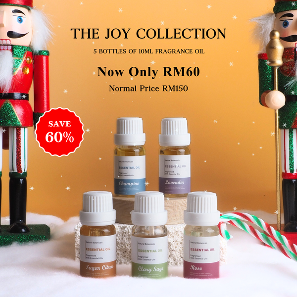 🎄The Joy Collection🎄