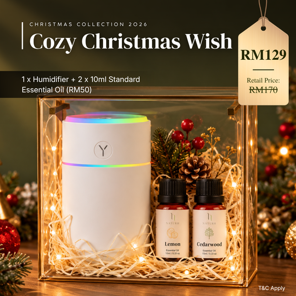🎄Cozy Christmas Wish🎄