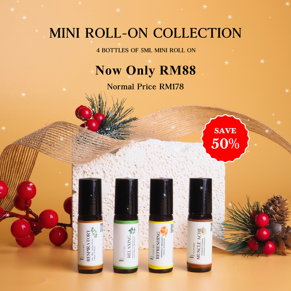 🎄Mini Roll-On Collection🎄