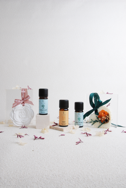 Aromatherapy Delight Collection - Naturh